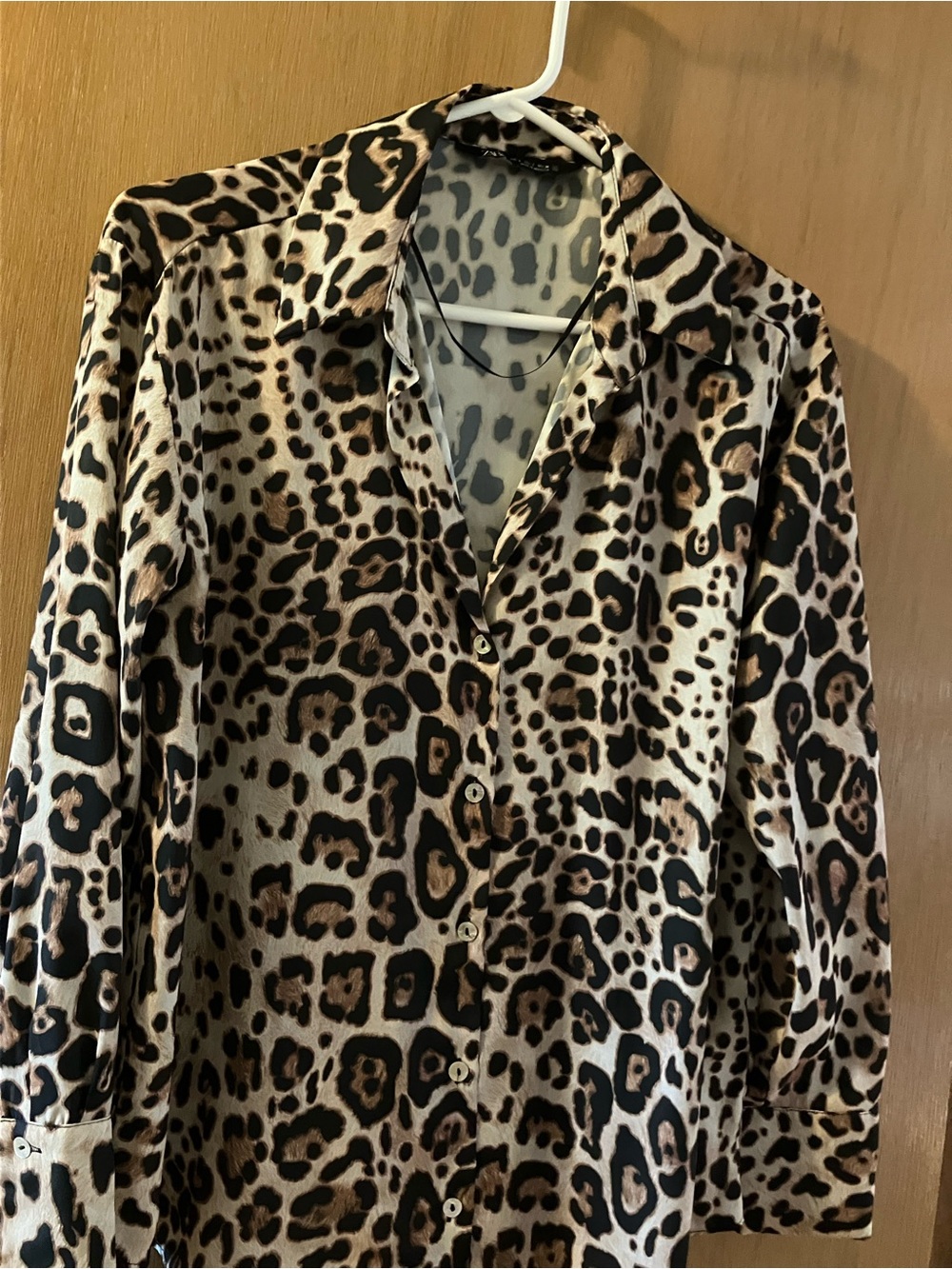 Zara Leopard Print Button-Down Shirt in Brown and Black